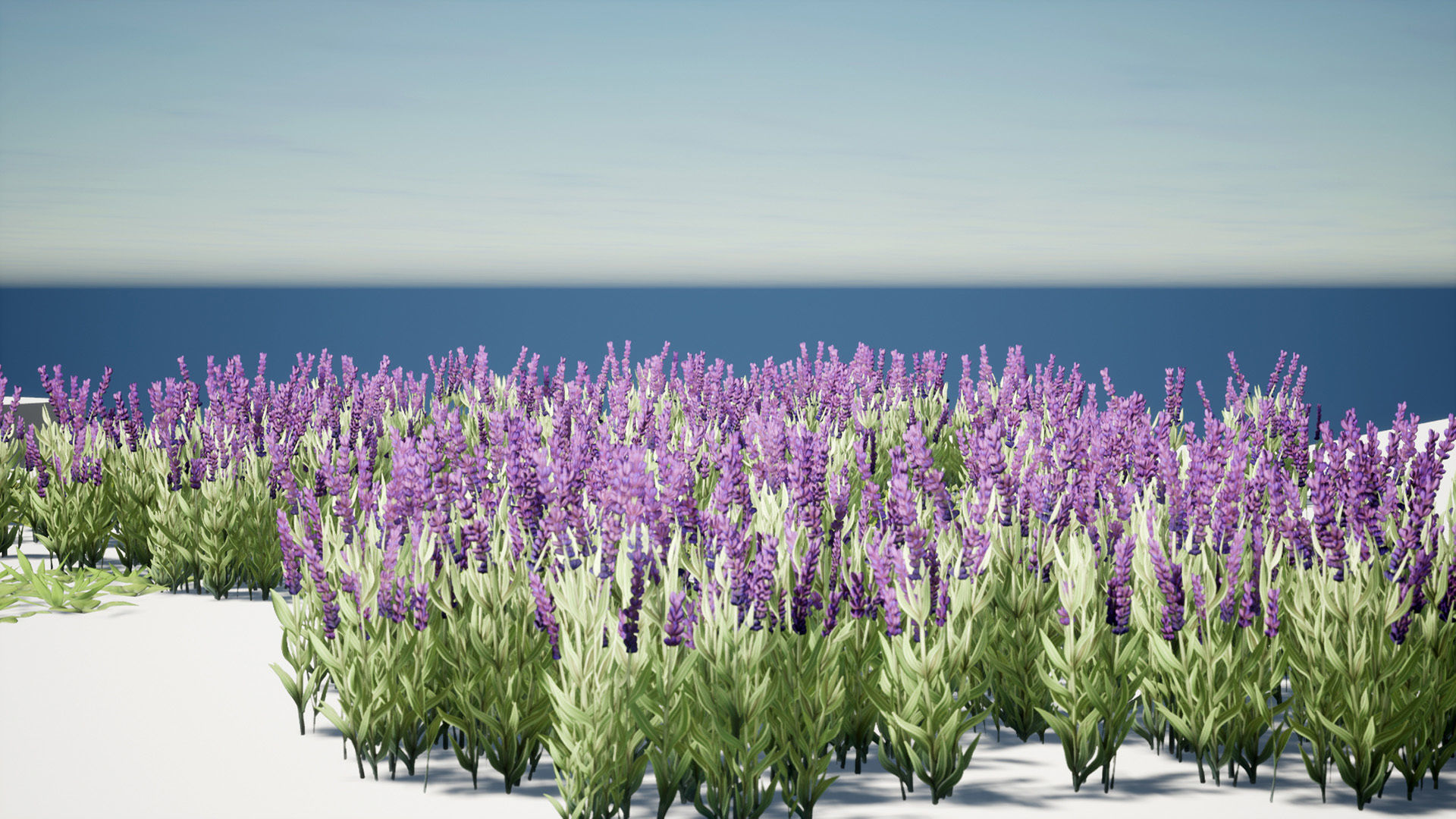 Grass Field Pack Low-poly 3D model_16