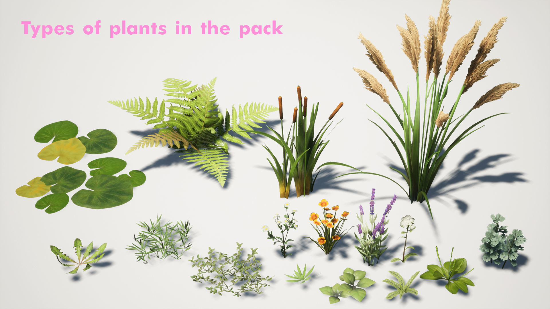 Grass Field Pack Low-poly 3D model_3