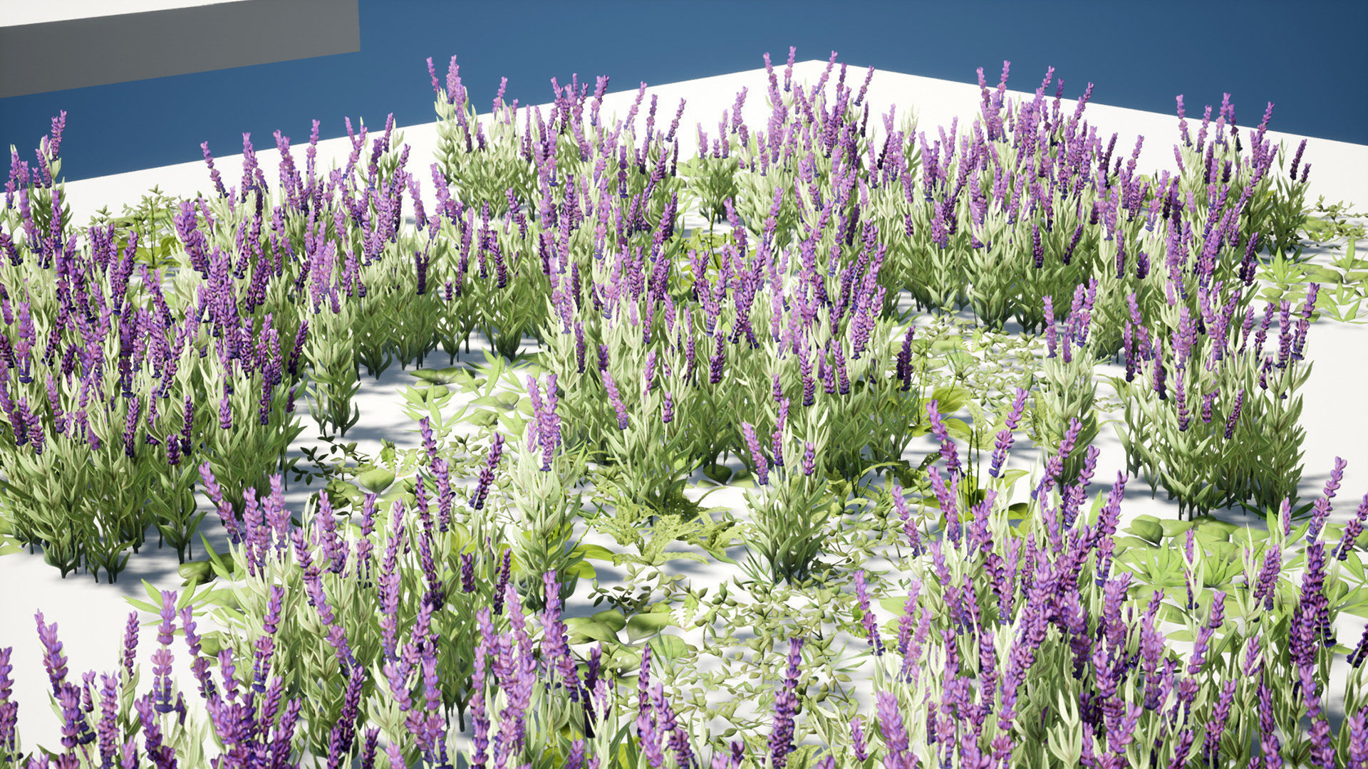 Grass Field Pack Low-poly 3D model_15