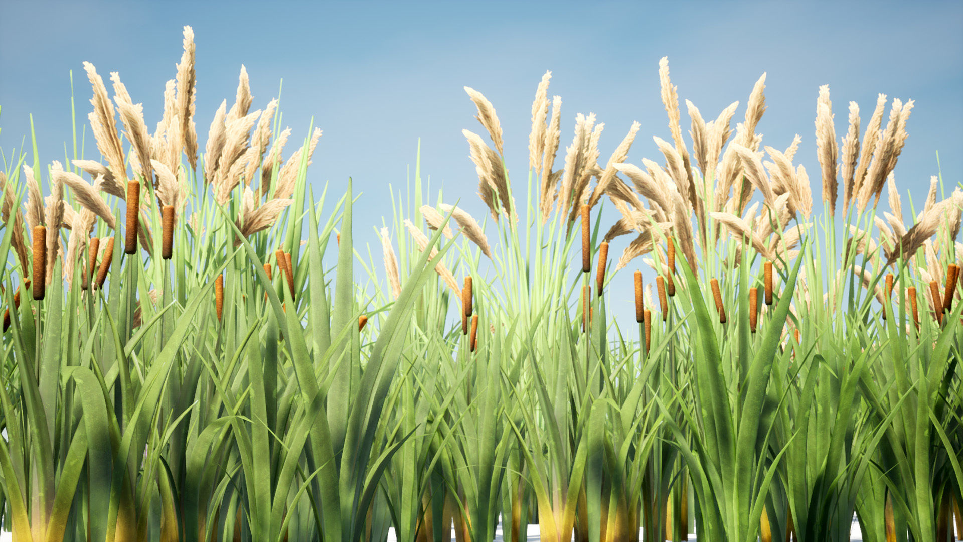 Grass Field Pack Low-poly 3D model_13