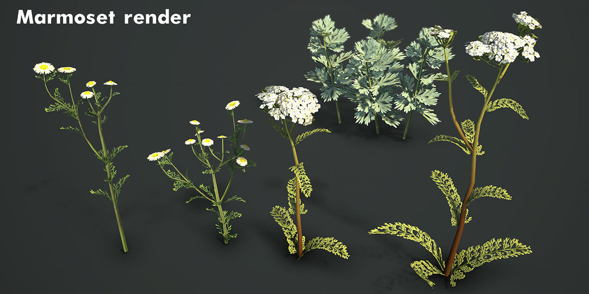 Grass Field Pack Low-poly 3D model_27