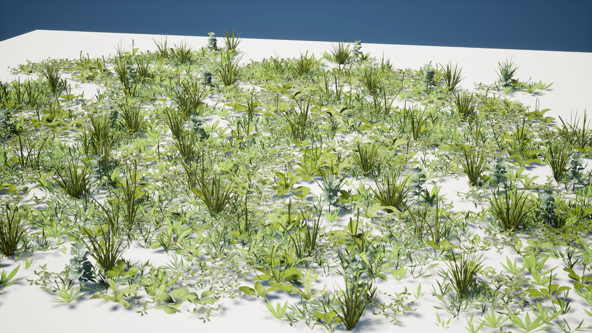 Grass Field Pack Low-poly 3D model_18