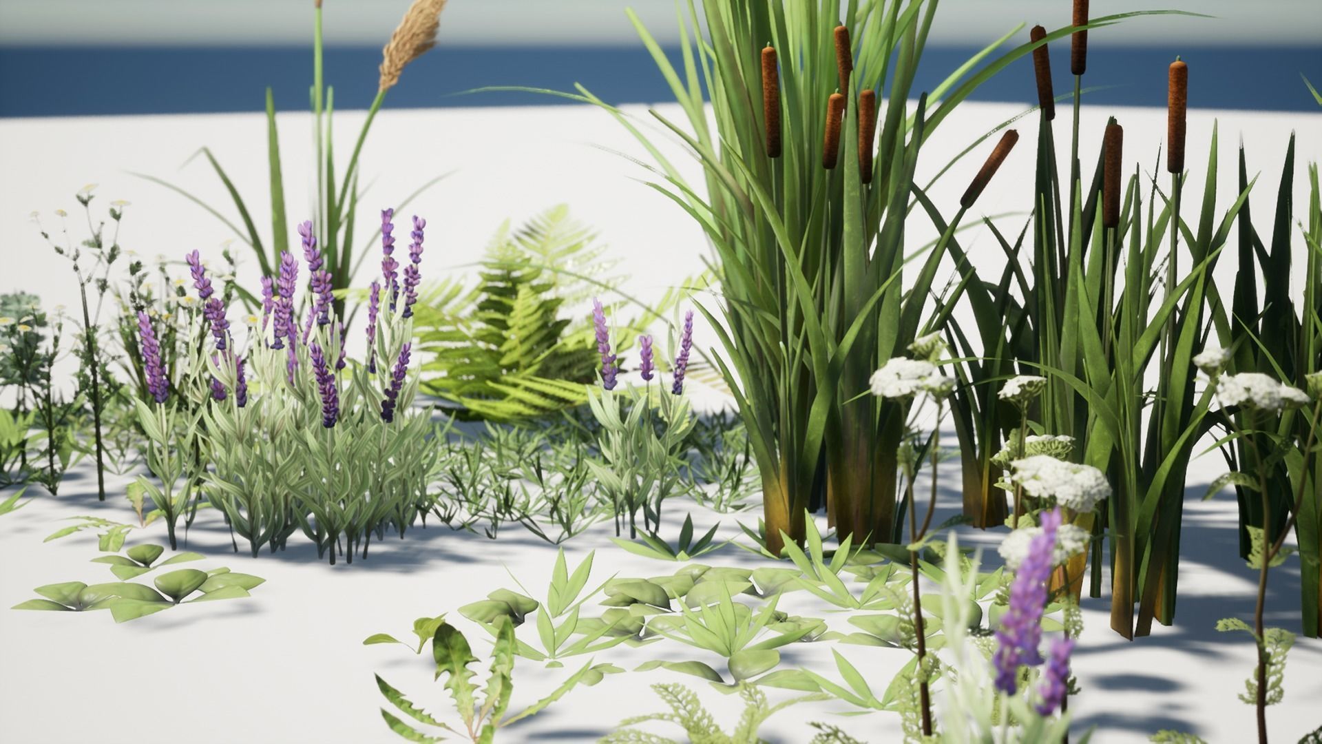 Grass Field Pack Low-poly 3D model_4