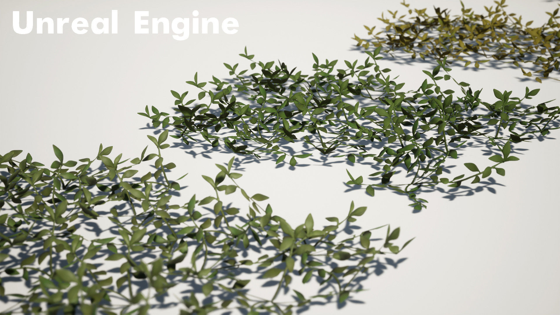 Grass Field Pack Low-poly 3D model_22