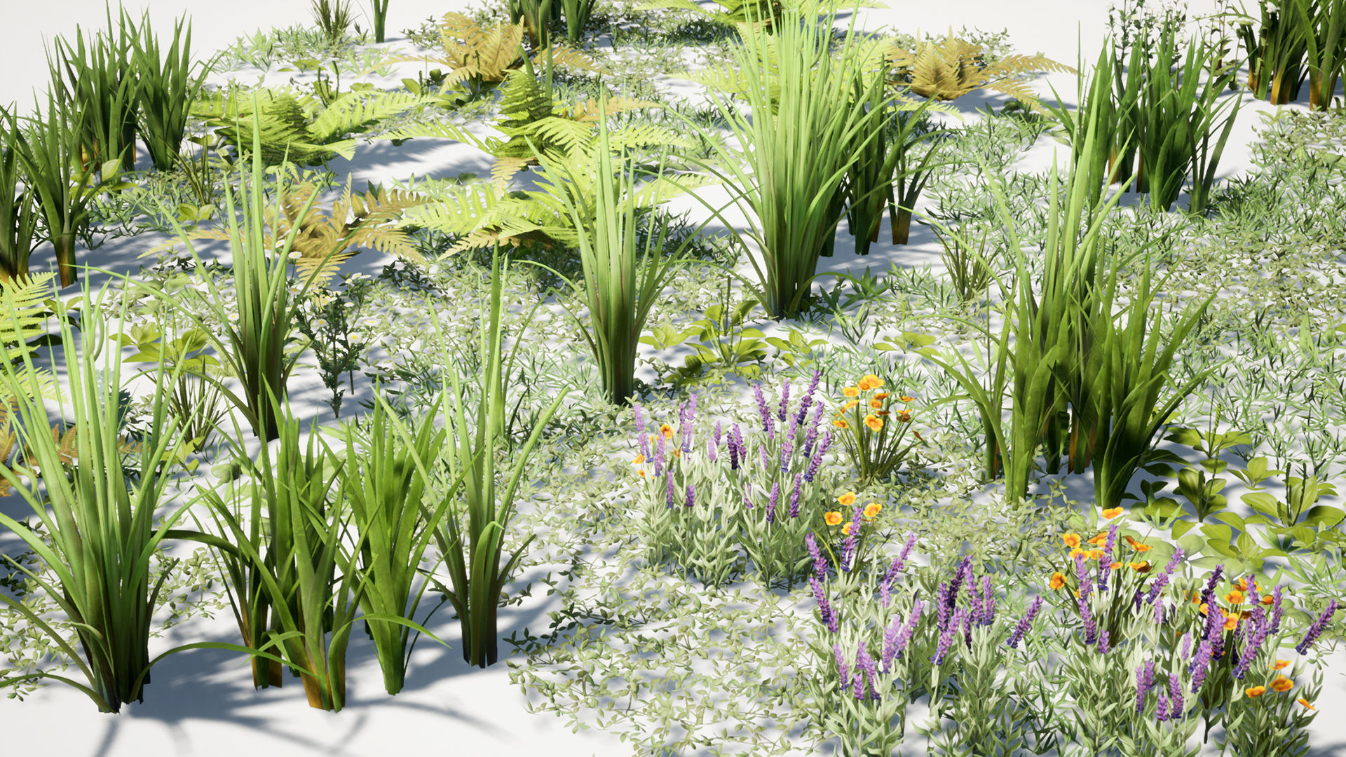 Grass Field Pack Low-poly 3D model_17