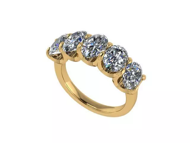 Oval 5 Stone Band 3D print model