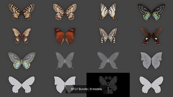 BFLY Bundle 3D Model Collection