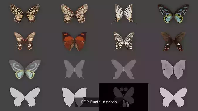 BFLY Bundle 3D Model Collection