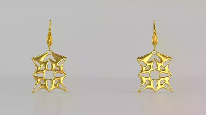 Hanging Ear Rings 100