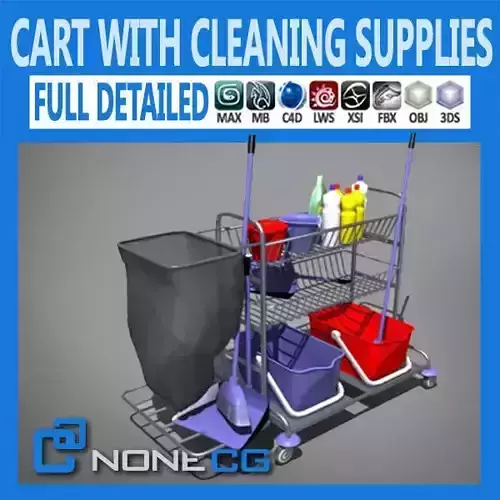 Cart with Cleaning Supplies