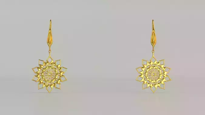 Hanging Ear Rings 101