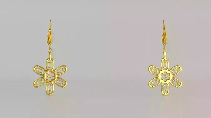 Hanging Ear Rings 102