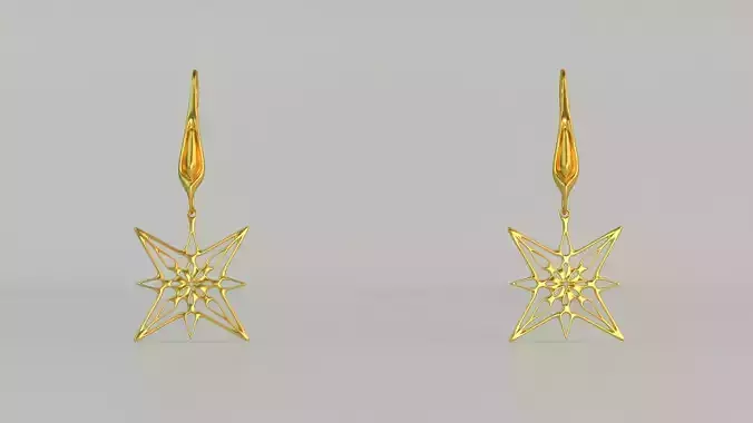 Hanging Ear Rings 106