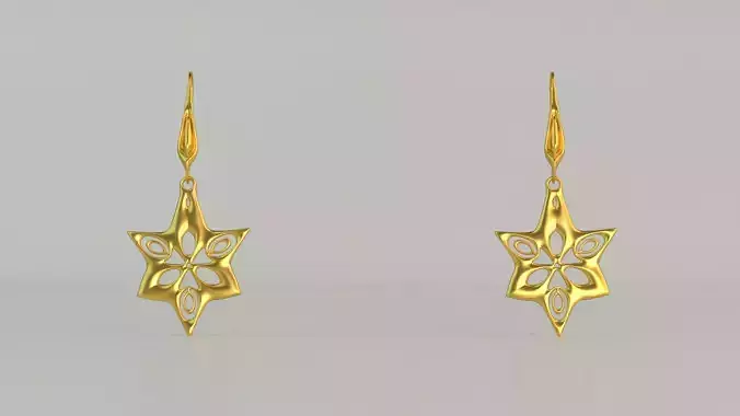 Hanging Ear Rings 107