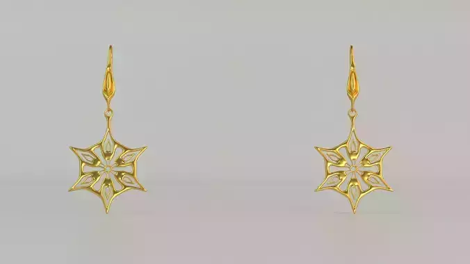 Hanging Ear Rings 109