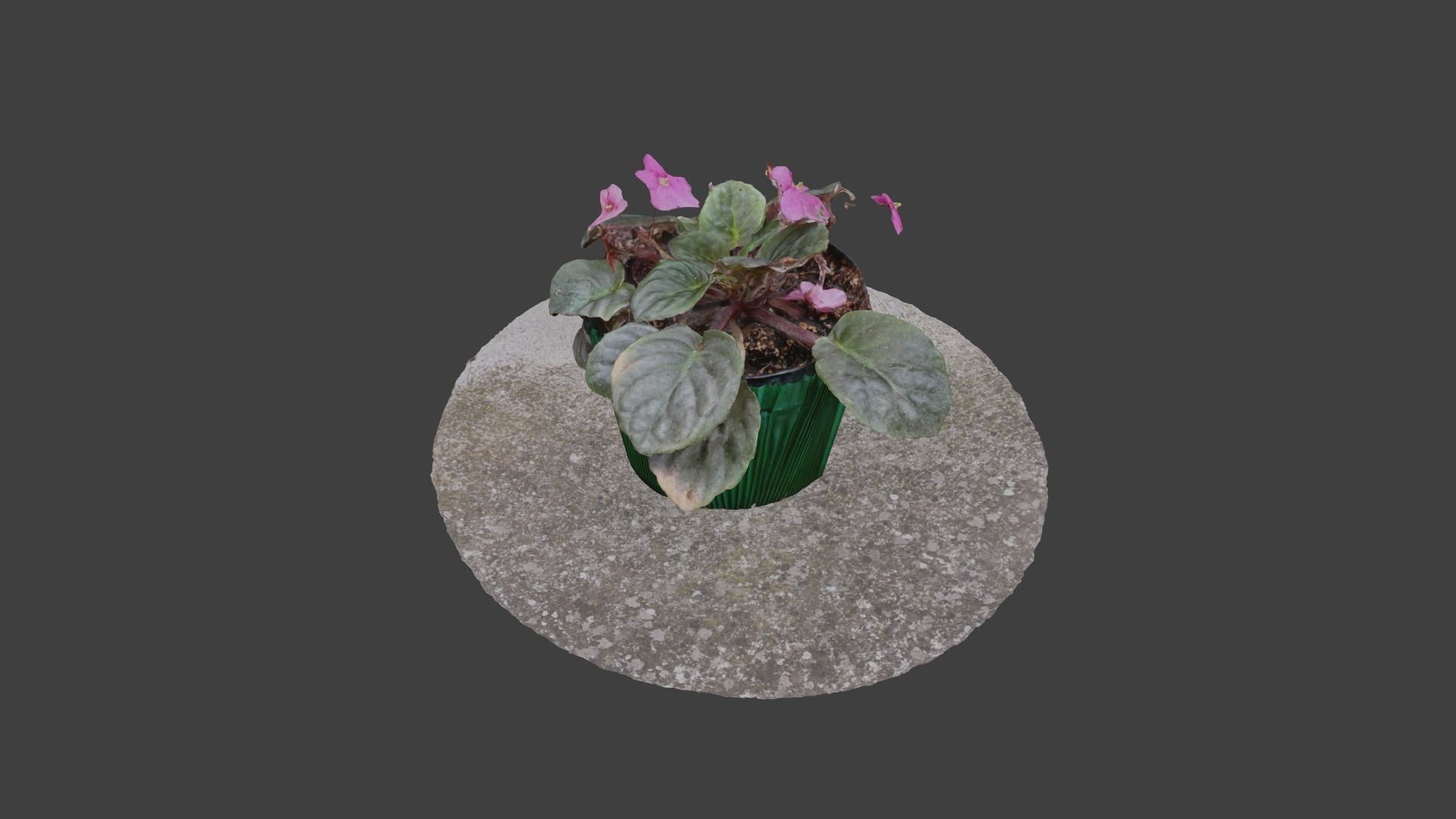 Little Flower Vase SCANNED Low-poly 3D model_3