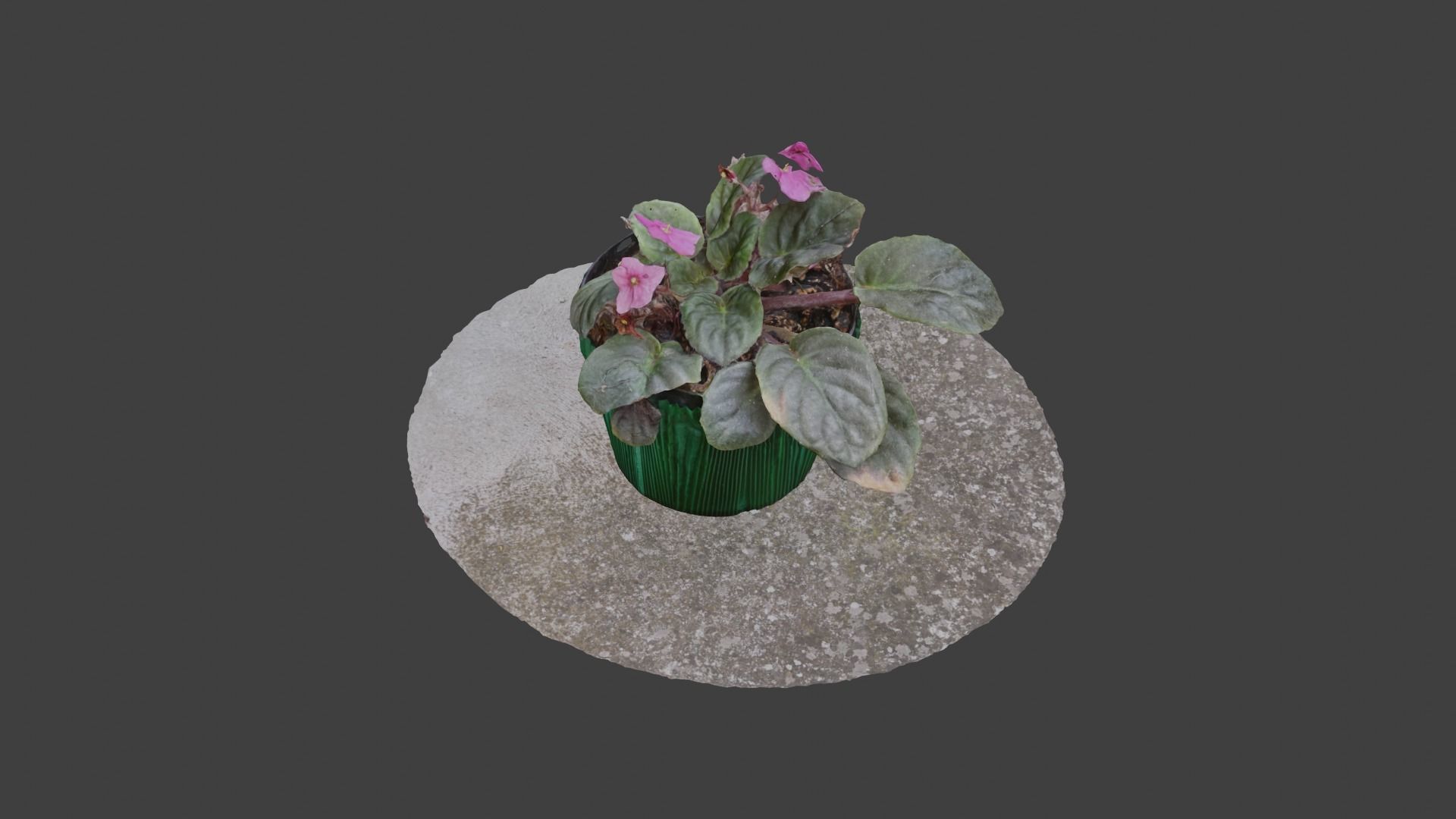 Little Flower Vase SCANNED Low-poly 3D model_8