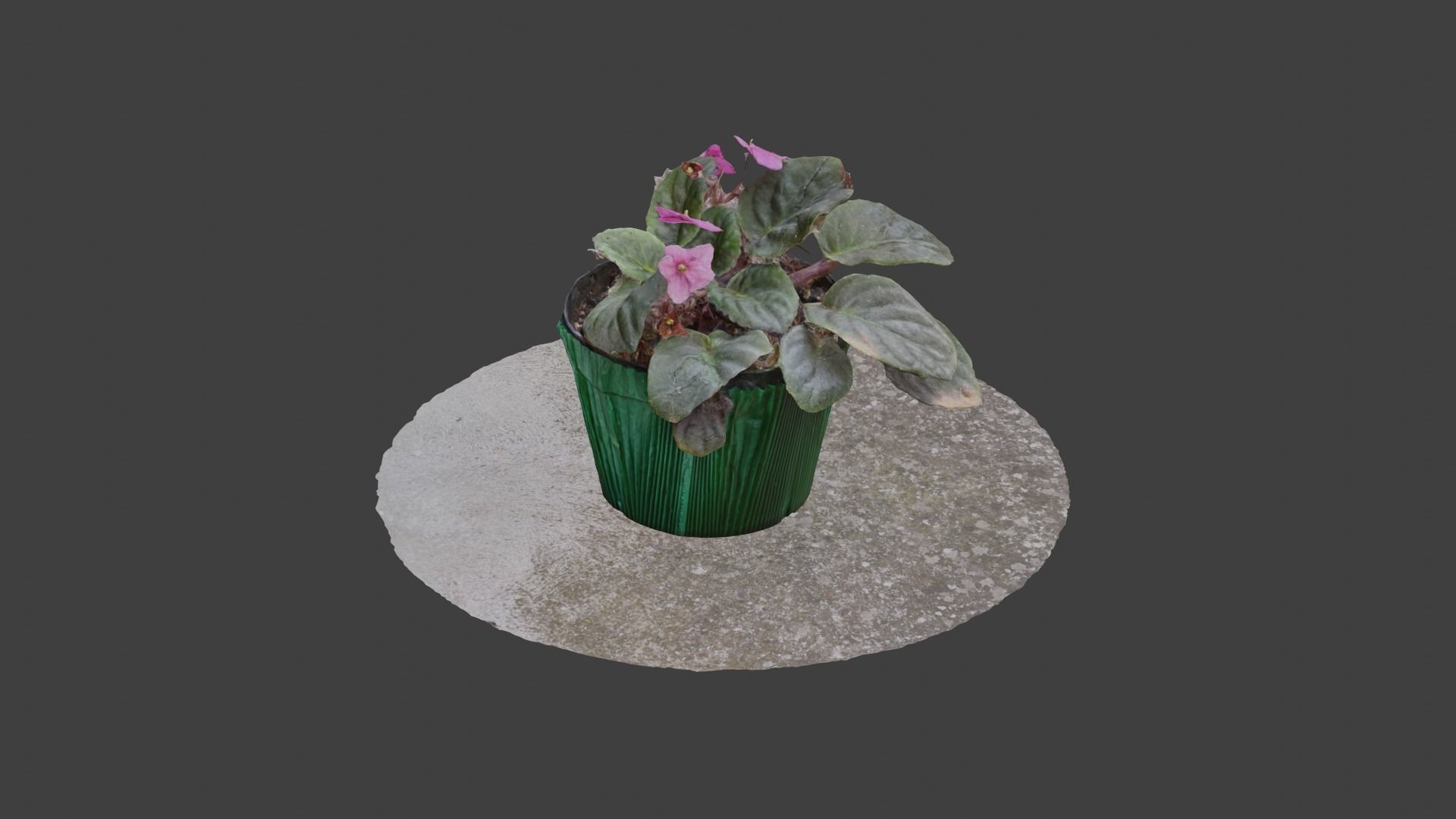 Little Flower Vase SCANNED Low-poly 3D model_10