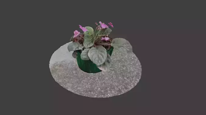 Little Flower Vase SCANNED Low-poly 3D model