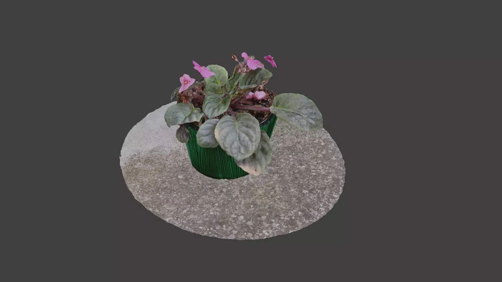 Little Flower Vase SCANNED Low-poly 3D model_0