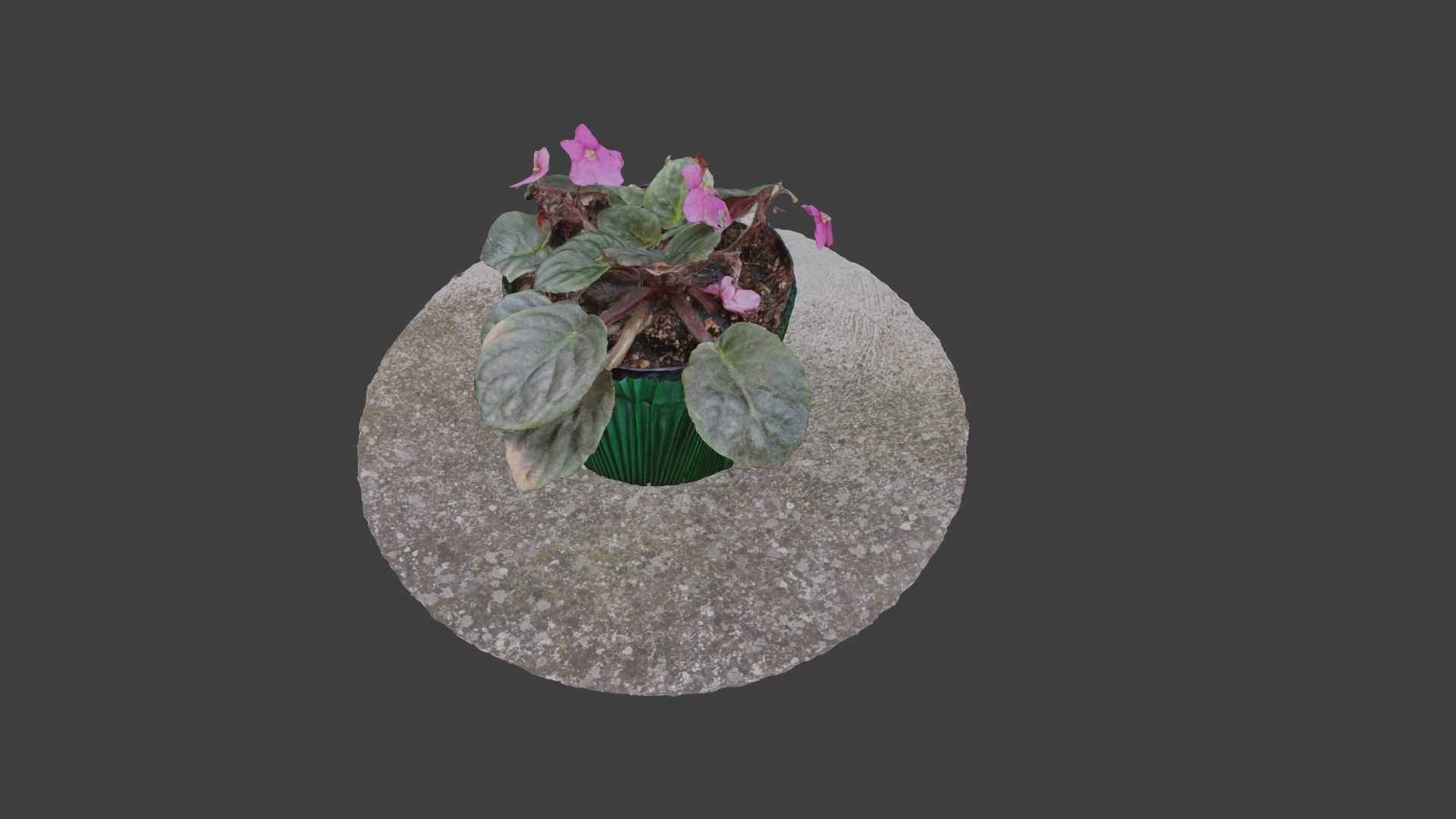 Little Flower Vase SCANNED Low-poly 3D model_12