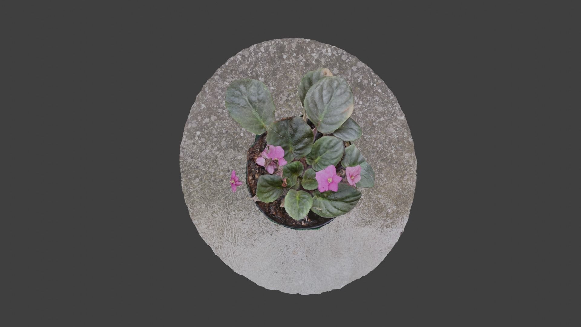 Little Flower Vase SCANNED Low-poly 3D model_5