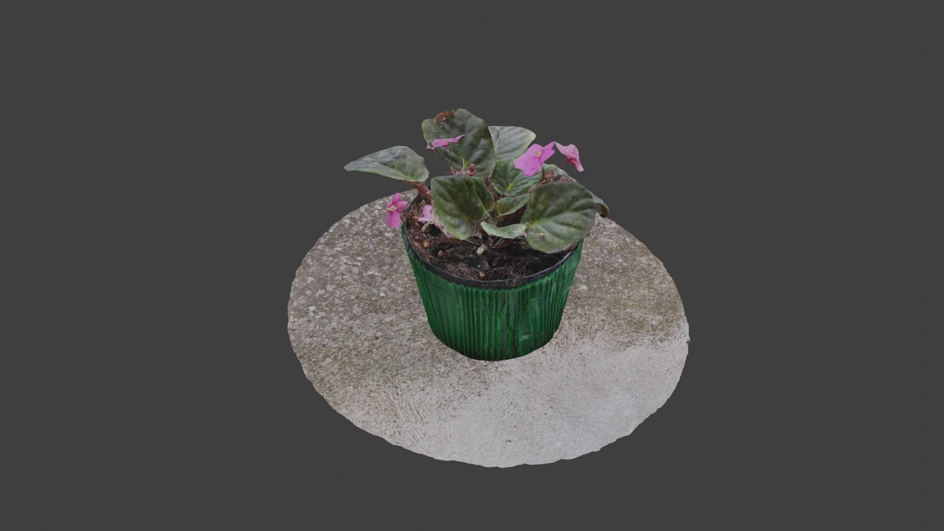Little Flower Vase SCANNED Low-poly 3D model_6