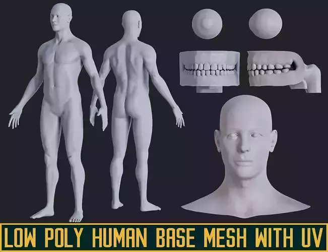 Low poly human base mesh with uv
