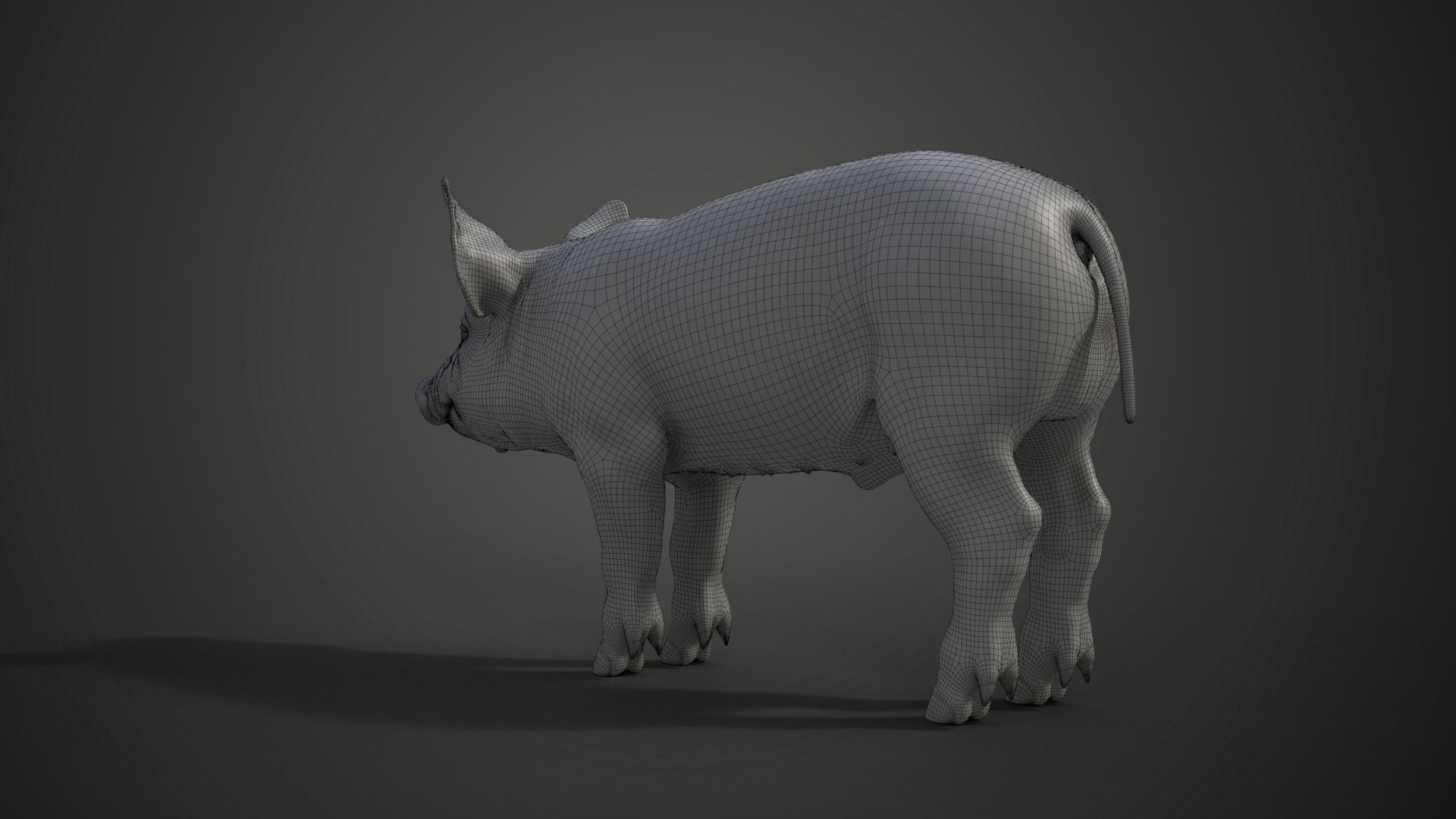 Piggy with 2 Animations  VFX Grace 3D model_22