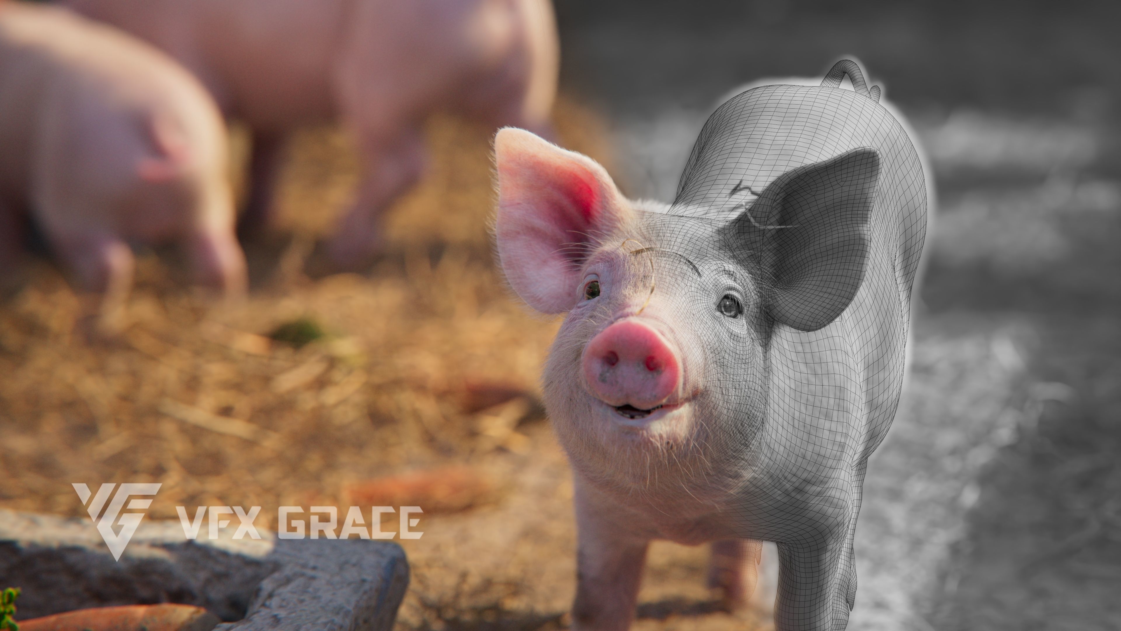Piggy with 5 Animations VFX Grace 3D model_6