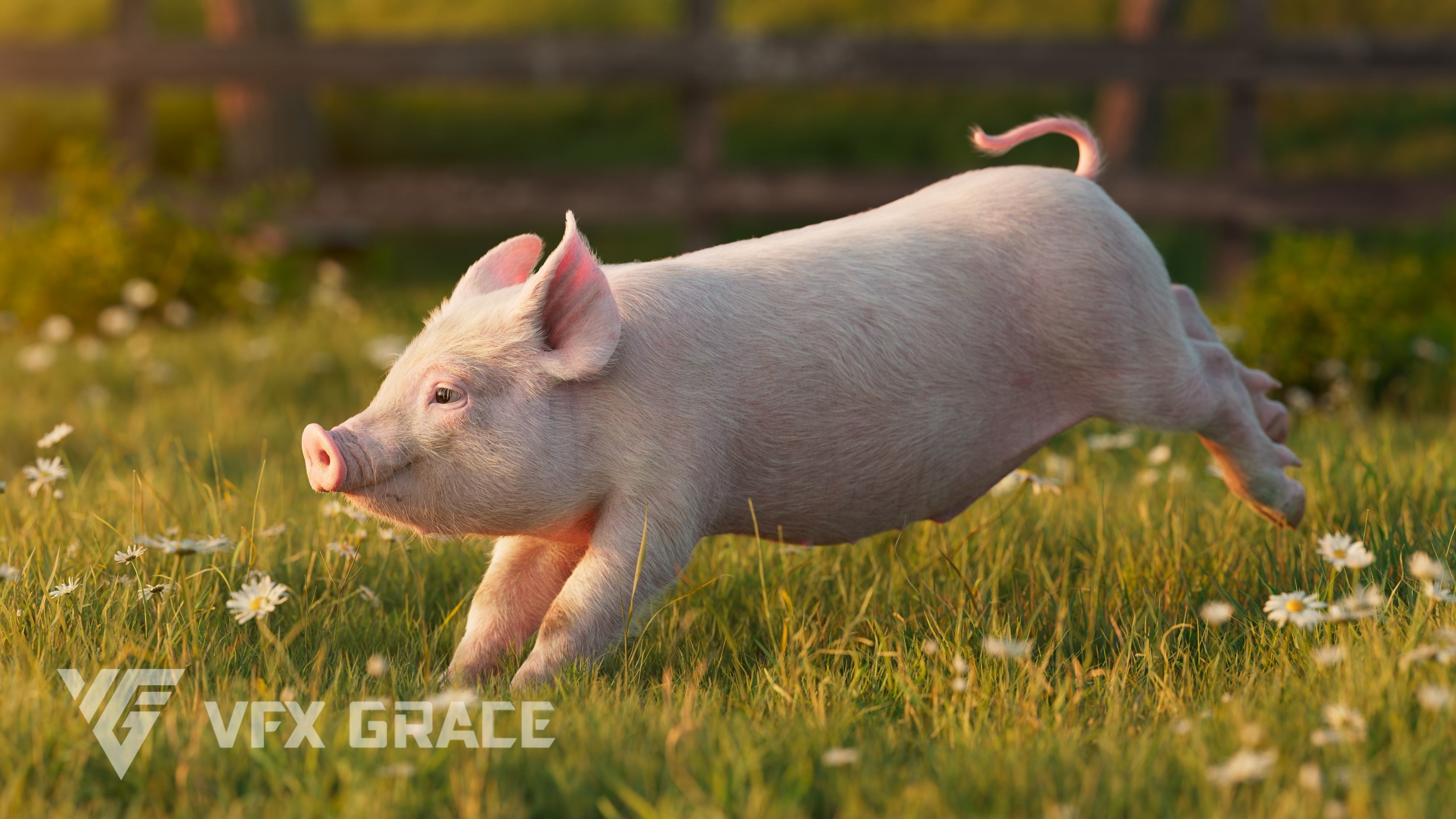Piggy with 5 Animations VFX Grace 3D model_9