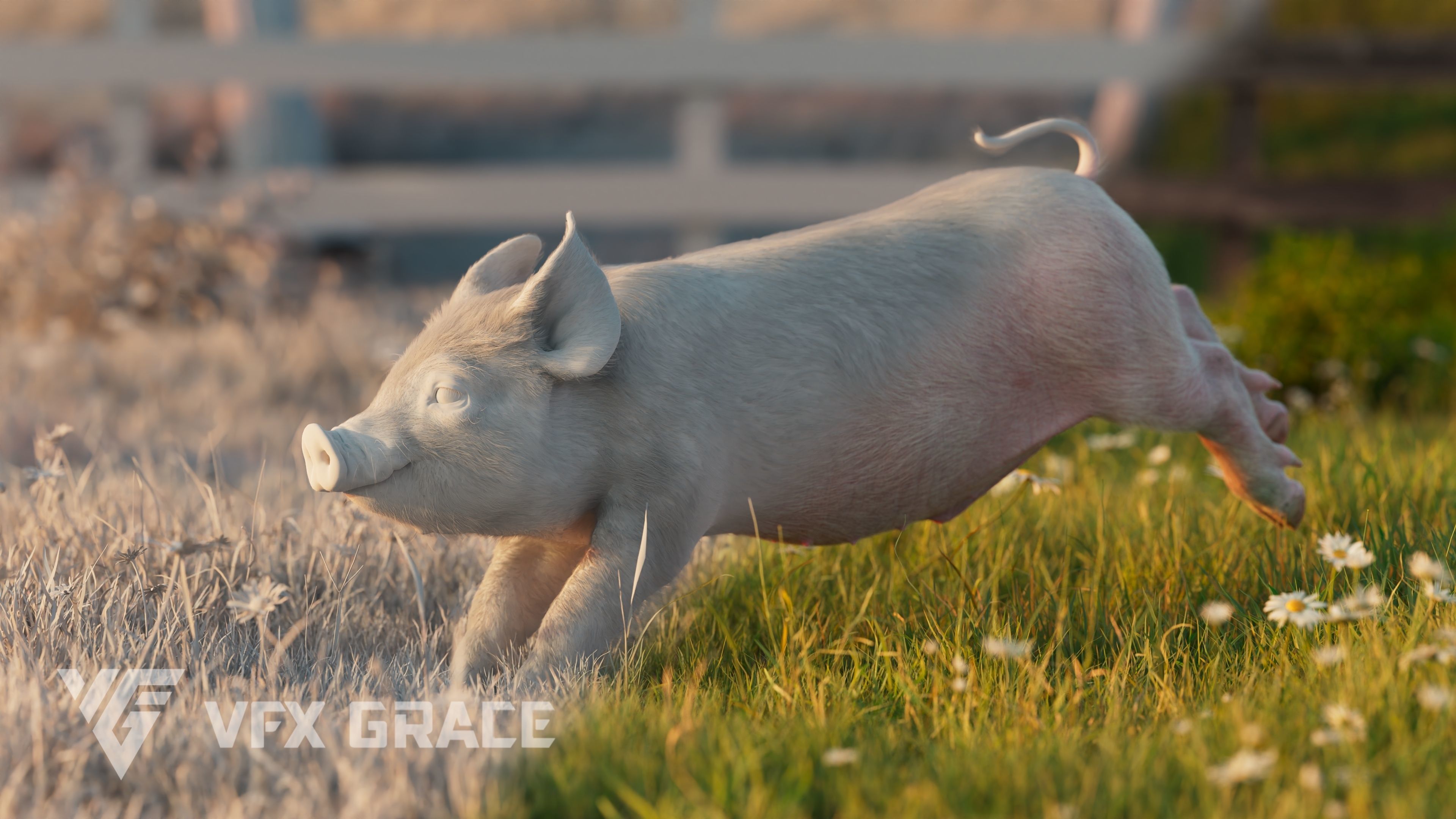 Piggy with 5 Animations VFX Grace 3D model_10