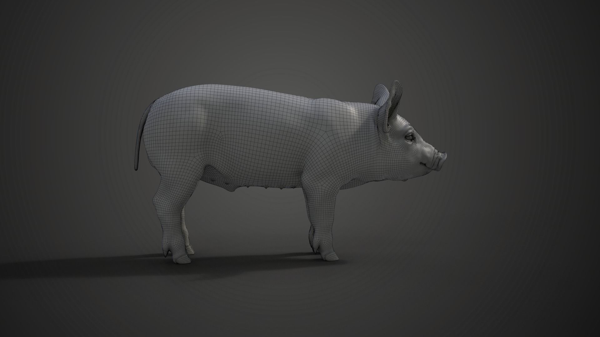 Piggy with 5 Animations VFX Grace 3D model_27
