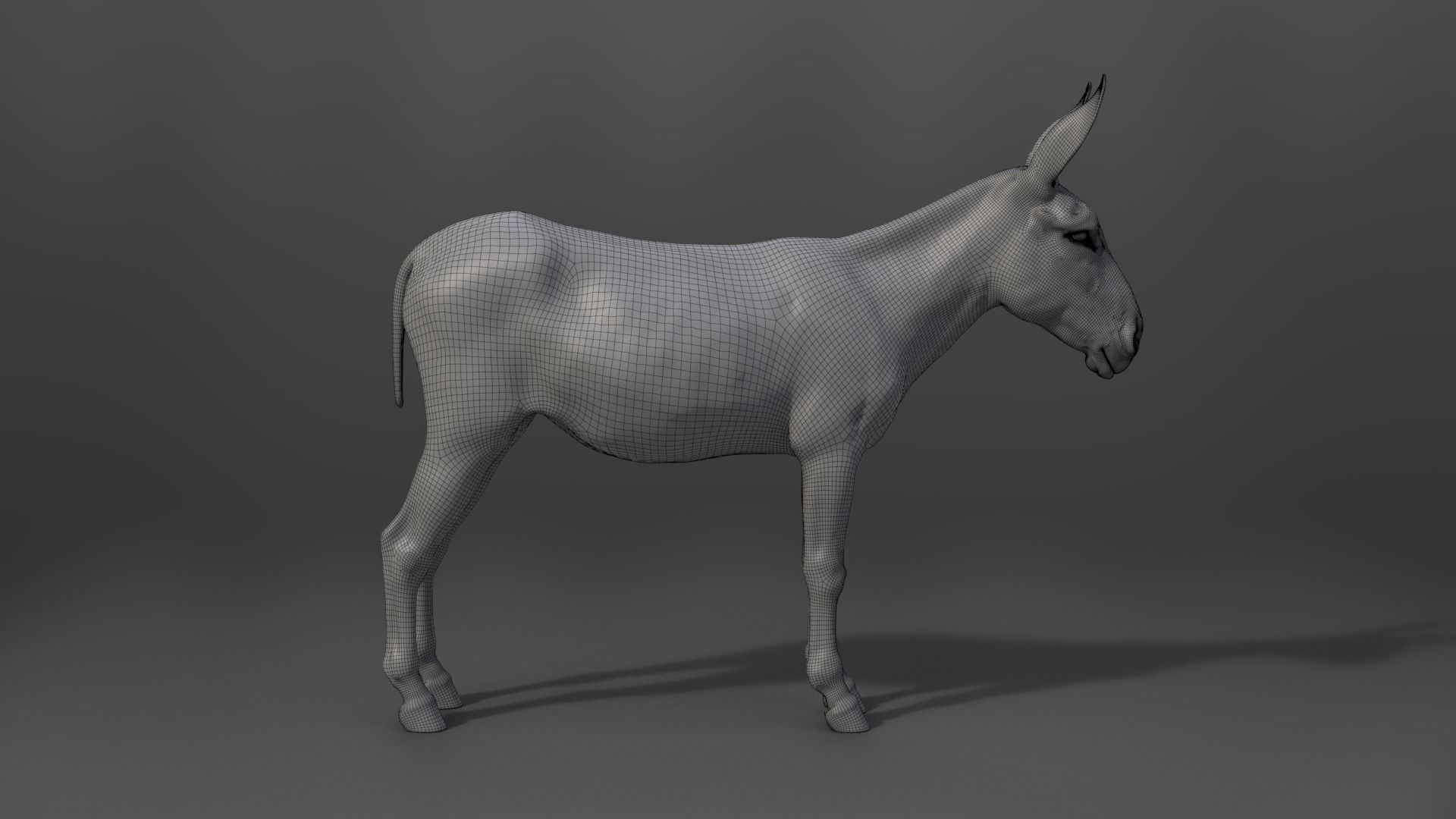 Donkey Summer with 2 Animations VFX Grace 3D model_16