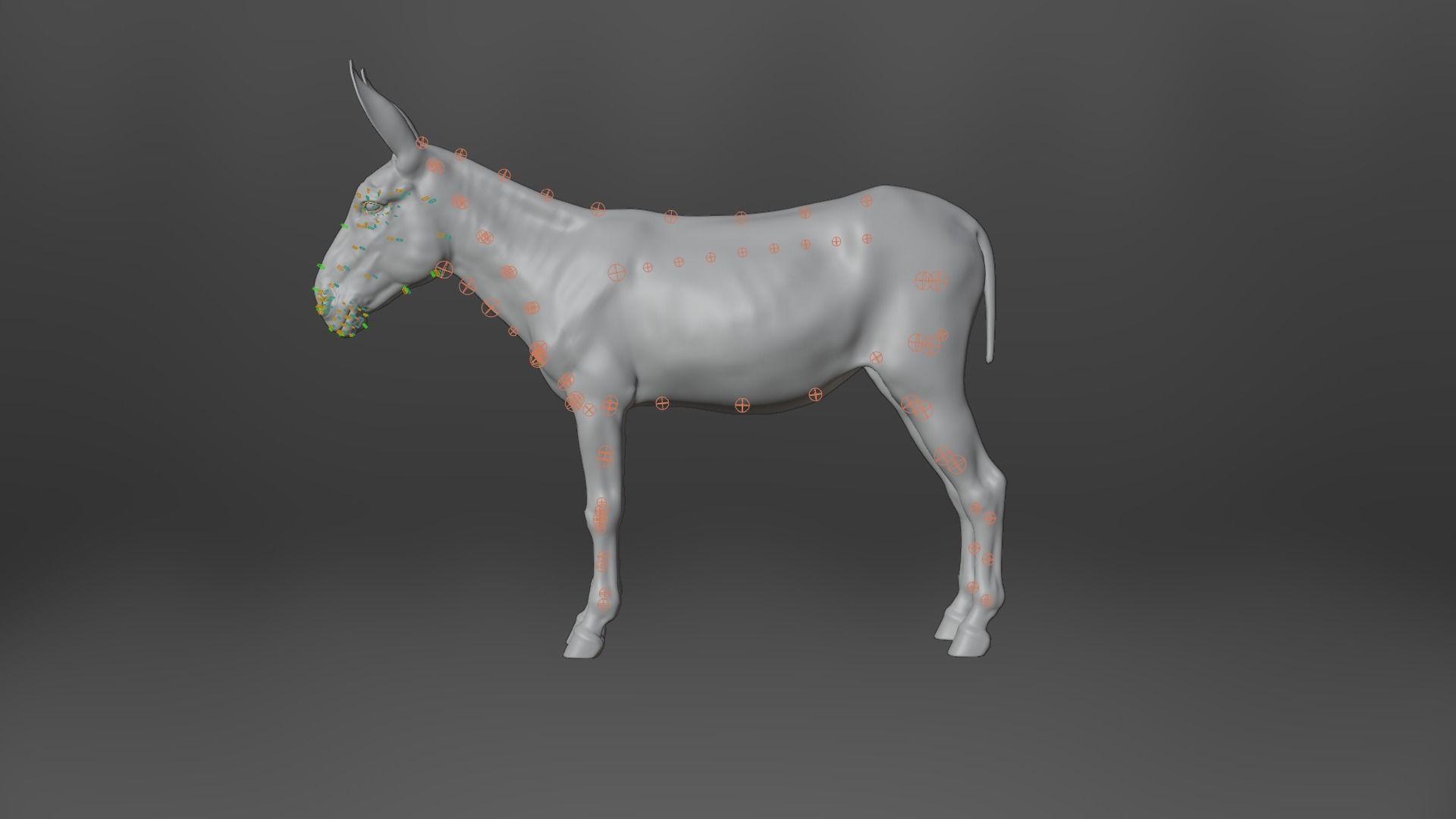 Donkey Summer with 4 Animations VFX Grace 3D model_13