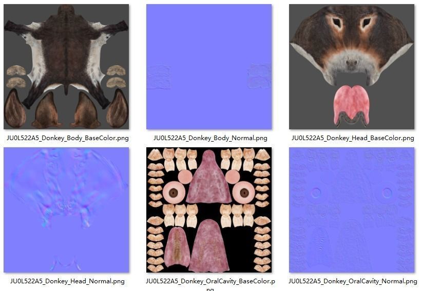 Donkey Summer with 4 Animations VFX Grace 3D model_15