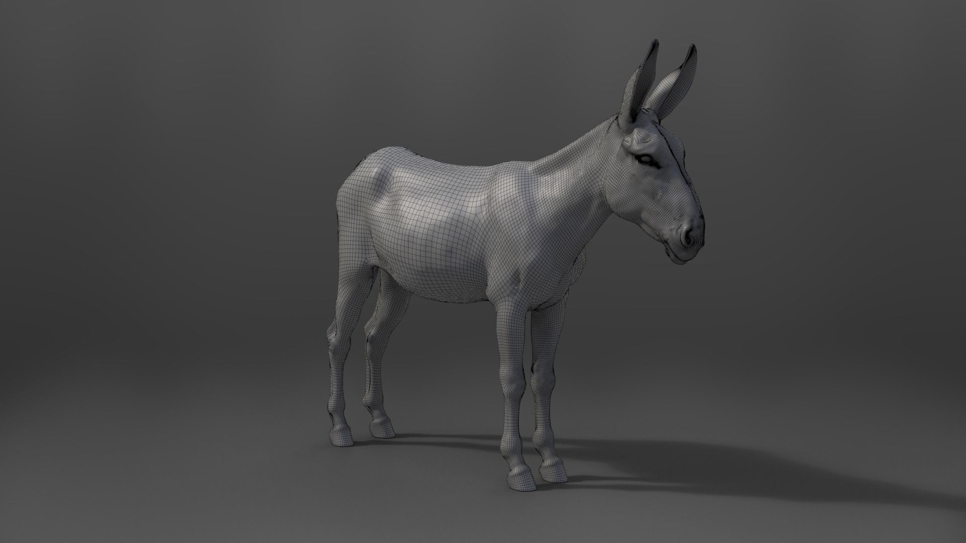 Donkey Summer with 4 Animations VFX Grace 3D model_18