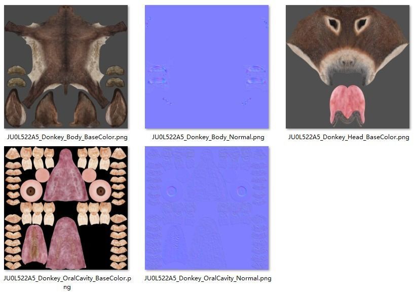 Donkey Winter with 2 Animations  VFX Grace 3D model_12