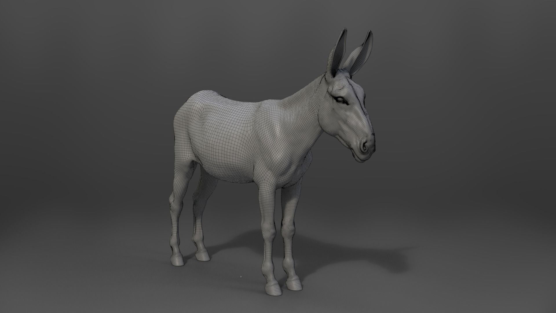Donkey Winter with 2 Animations  VFX Grace 3D model_19