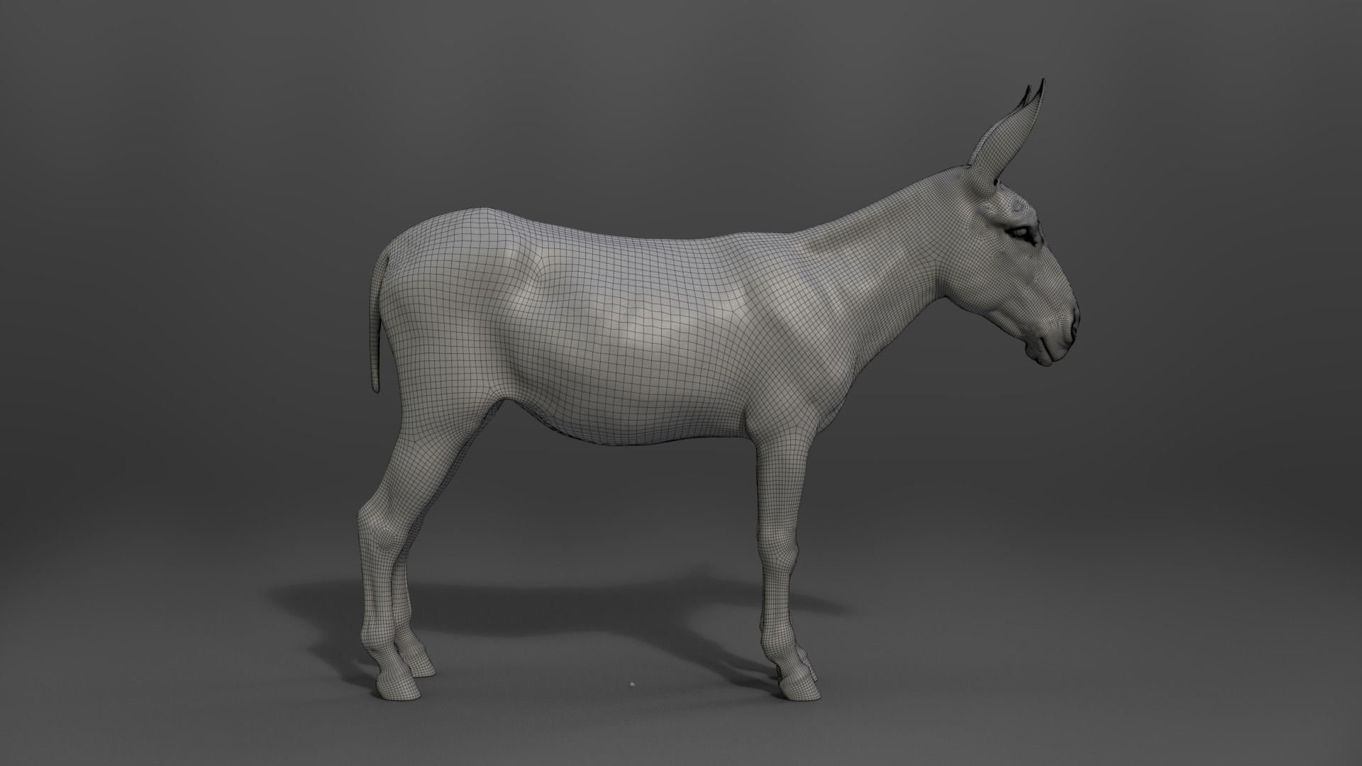 Donkey Winter with 2 Animations  VFX Grace 3D model_20