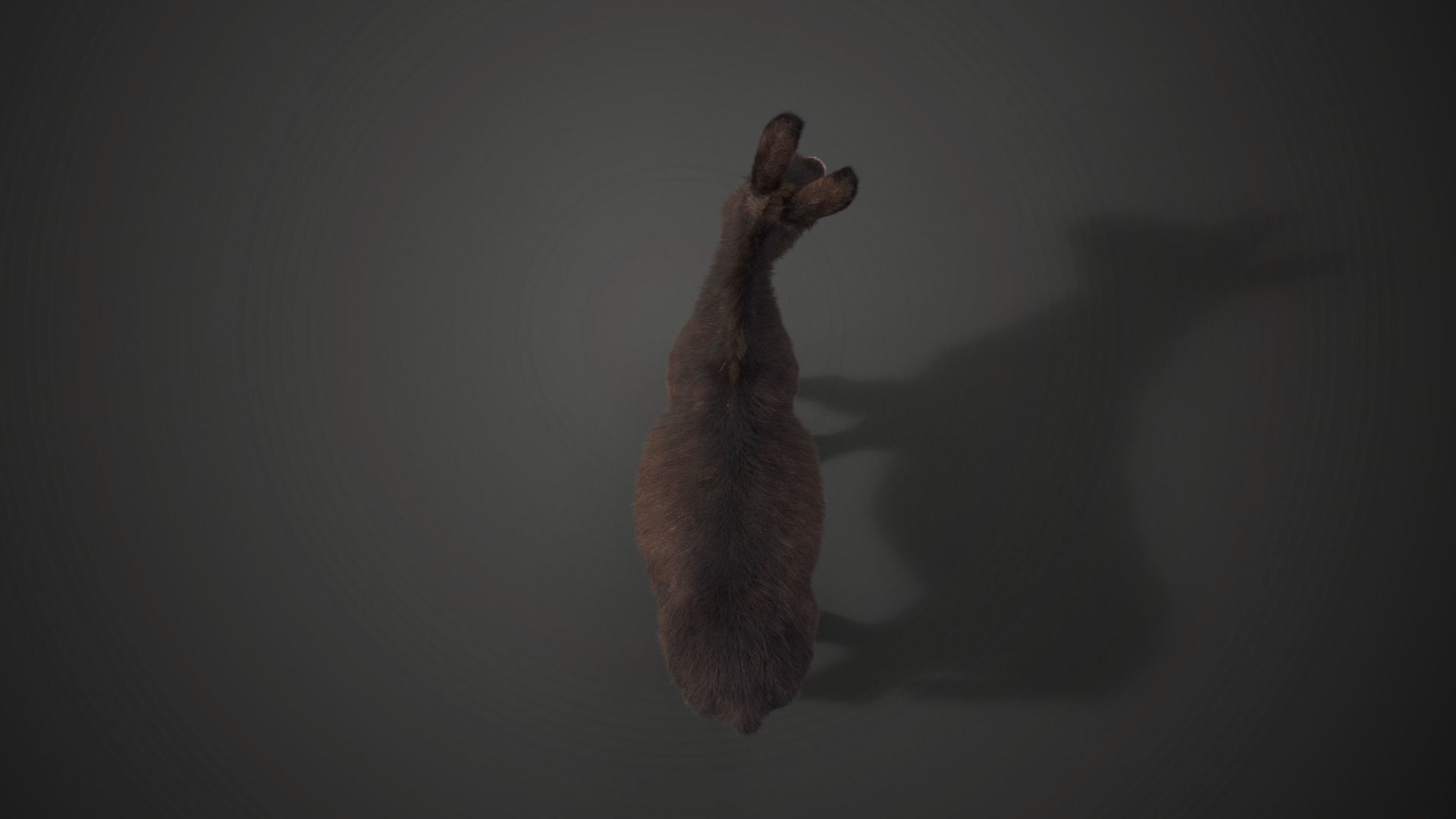 Donkey Winter with 2 Animations  VFX Grace 3D model_7