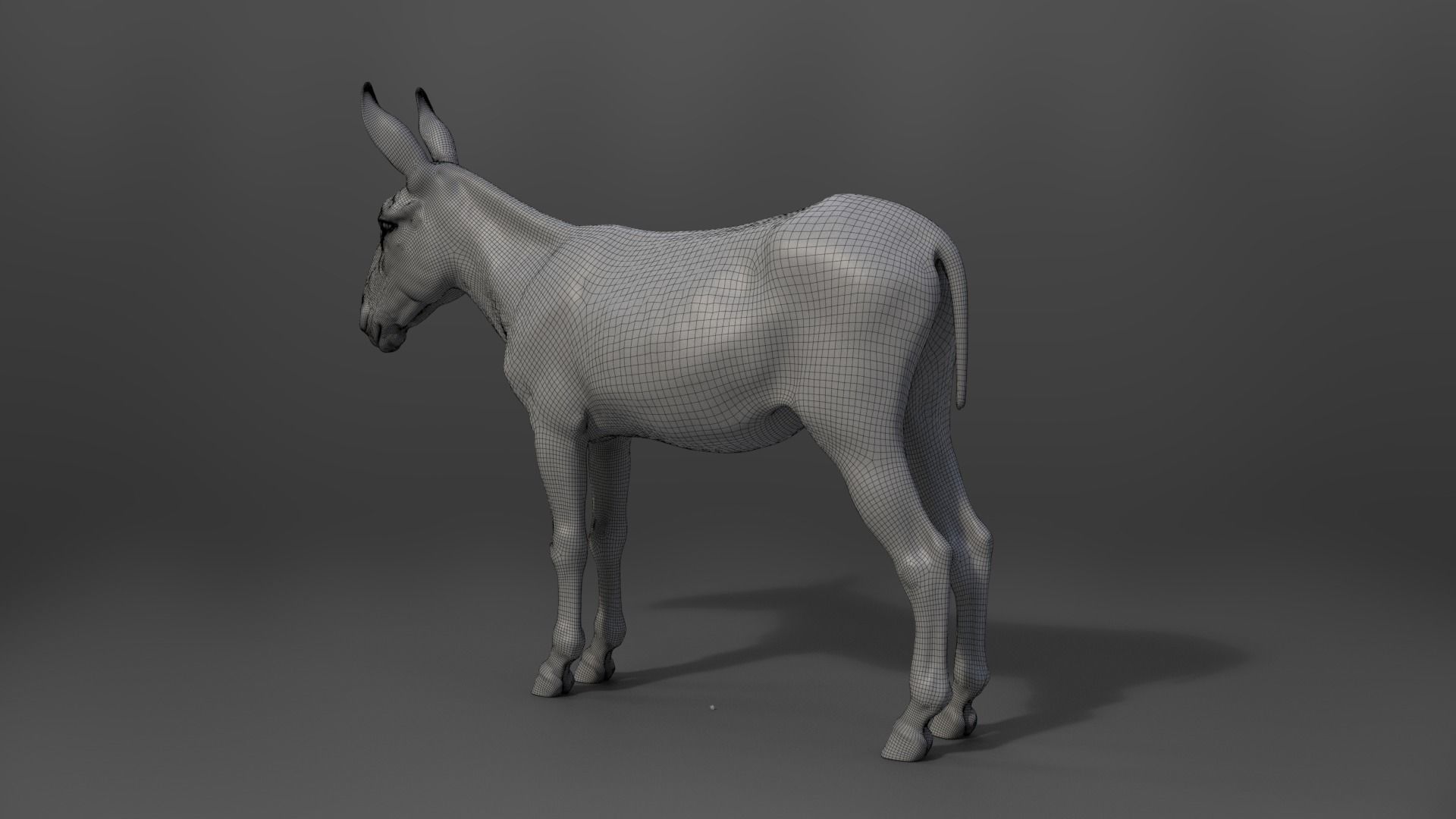 Donkey Winter with 2 Animations  VFX Grace 3D model_18