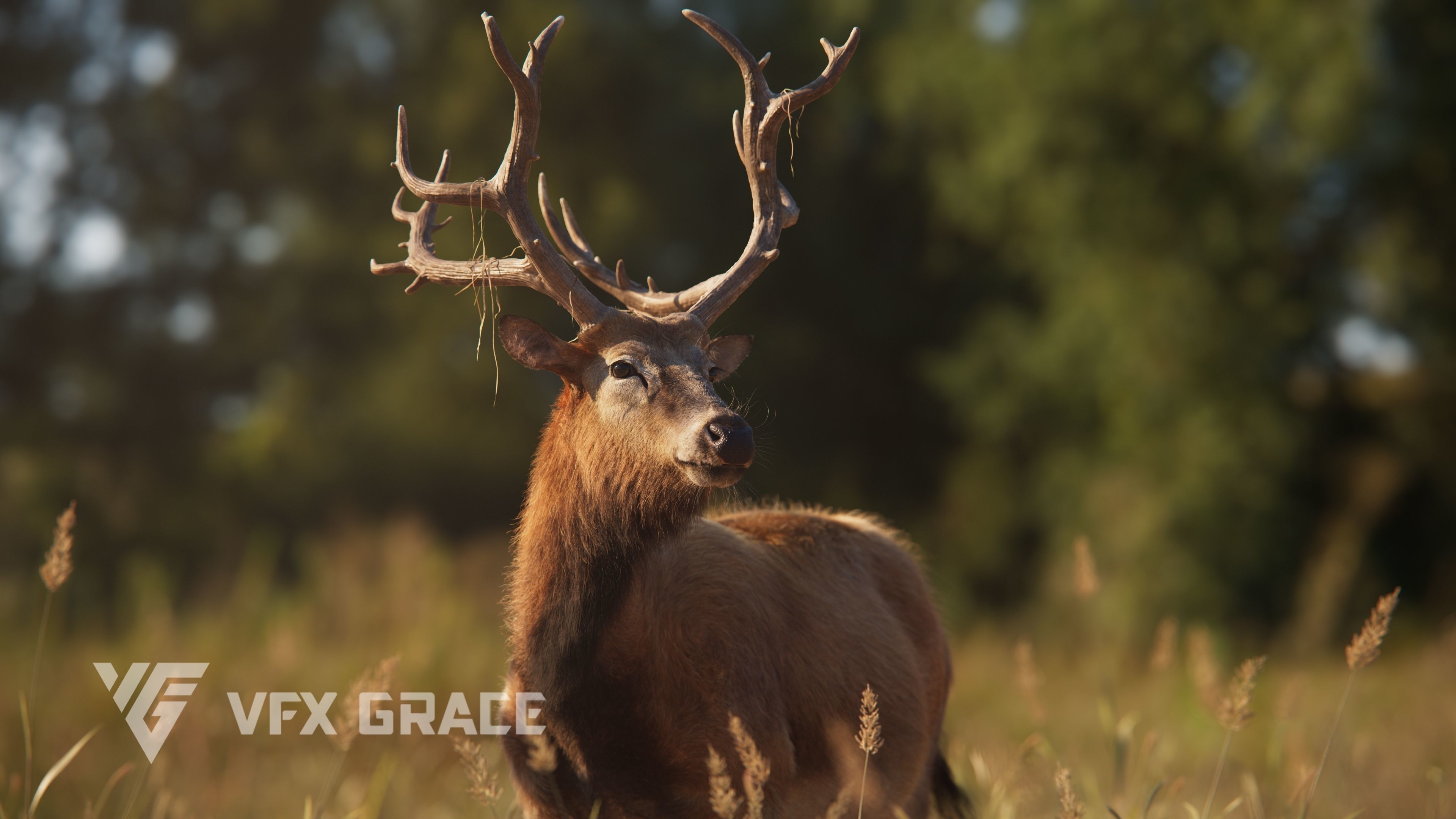 Male Deer with 5 Animations  VFX Grace 3D model_8