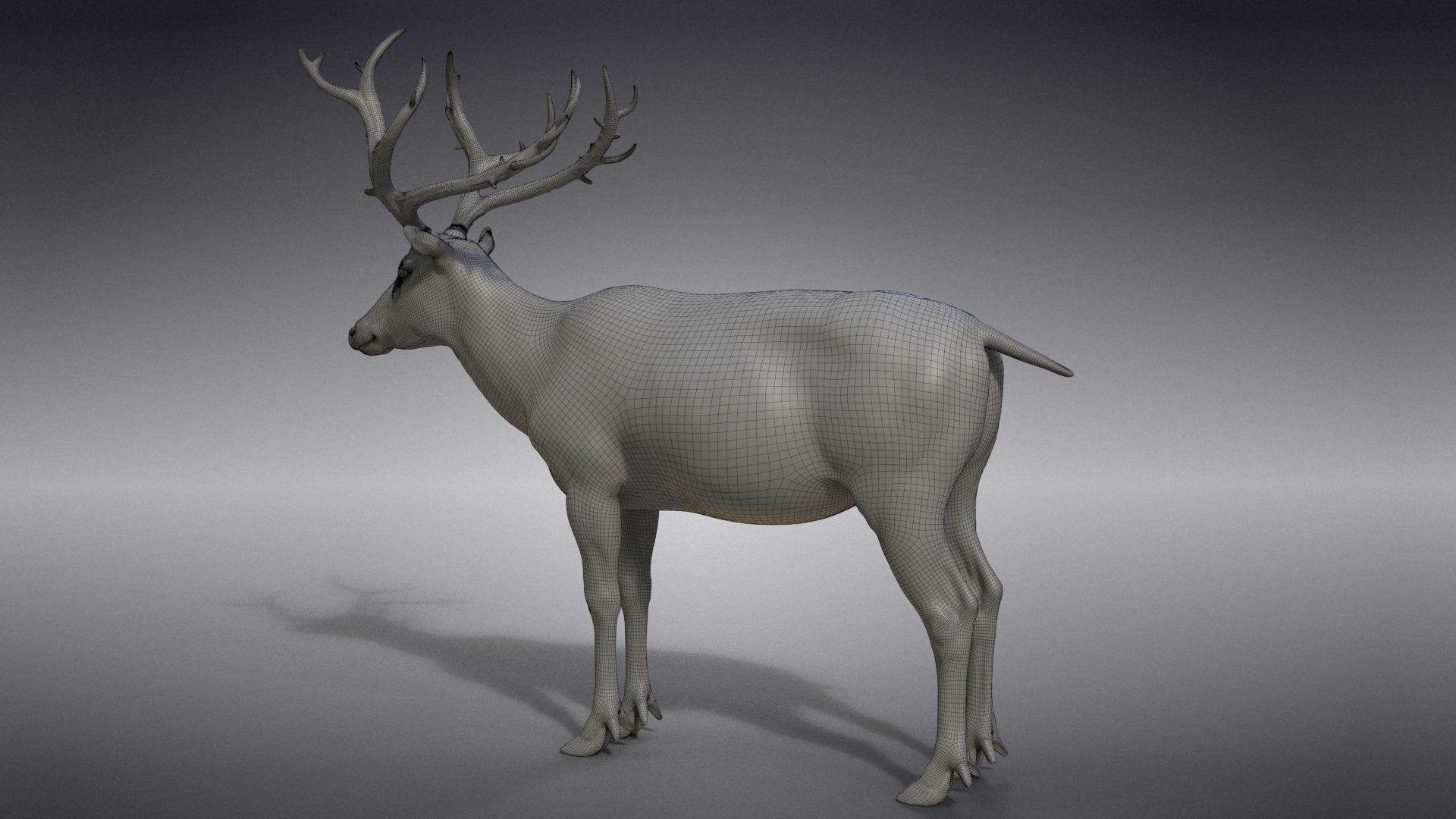 Male Deer with 5 Animations  VFX Grace 3D model_36