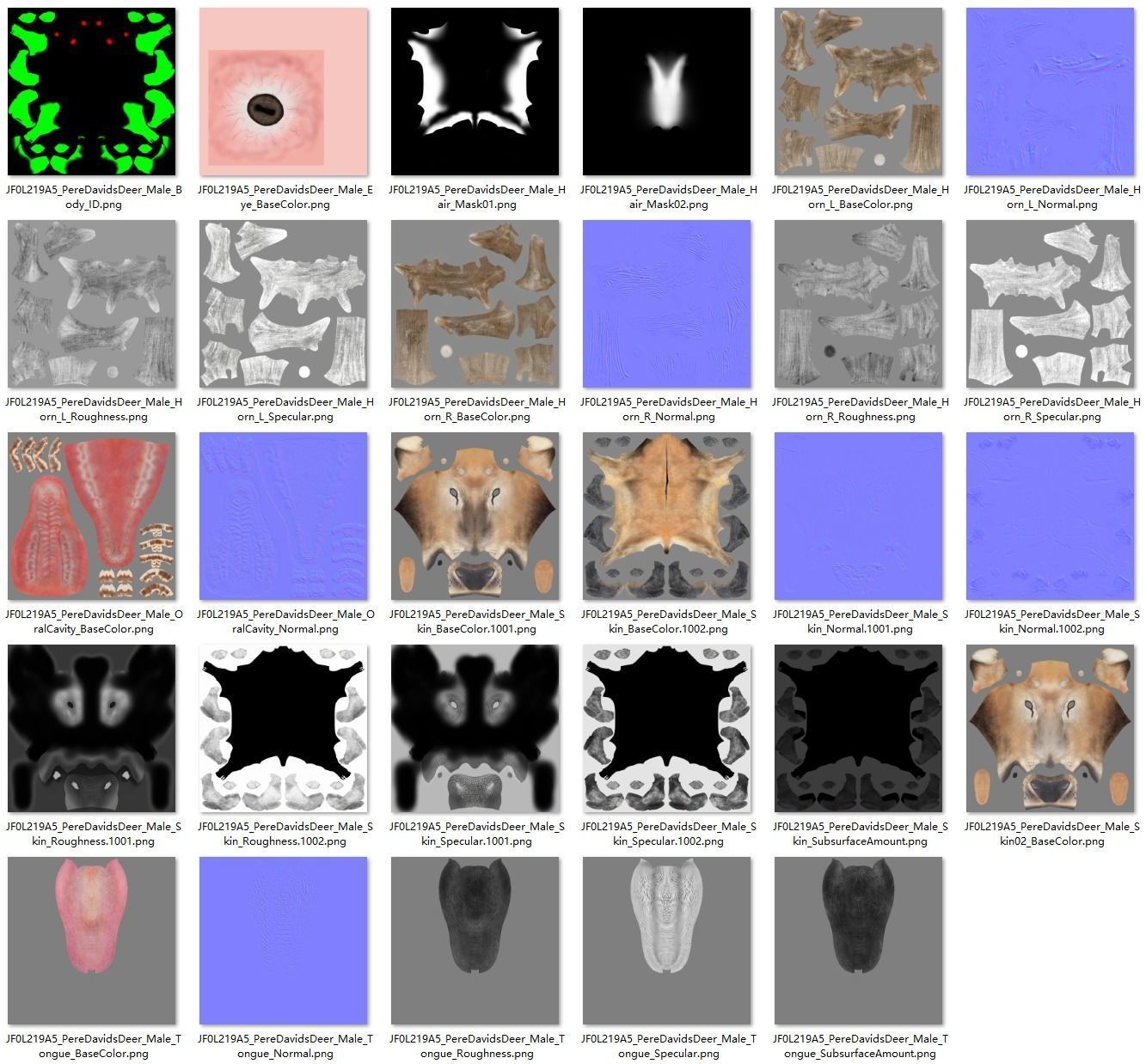 Male Deer with 5 Animations  VFX Grace 3D model_27