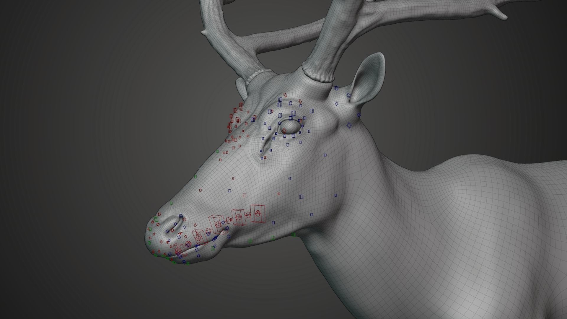 Male Deer with 5 Animations  VFX Grace 3D model_24
