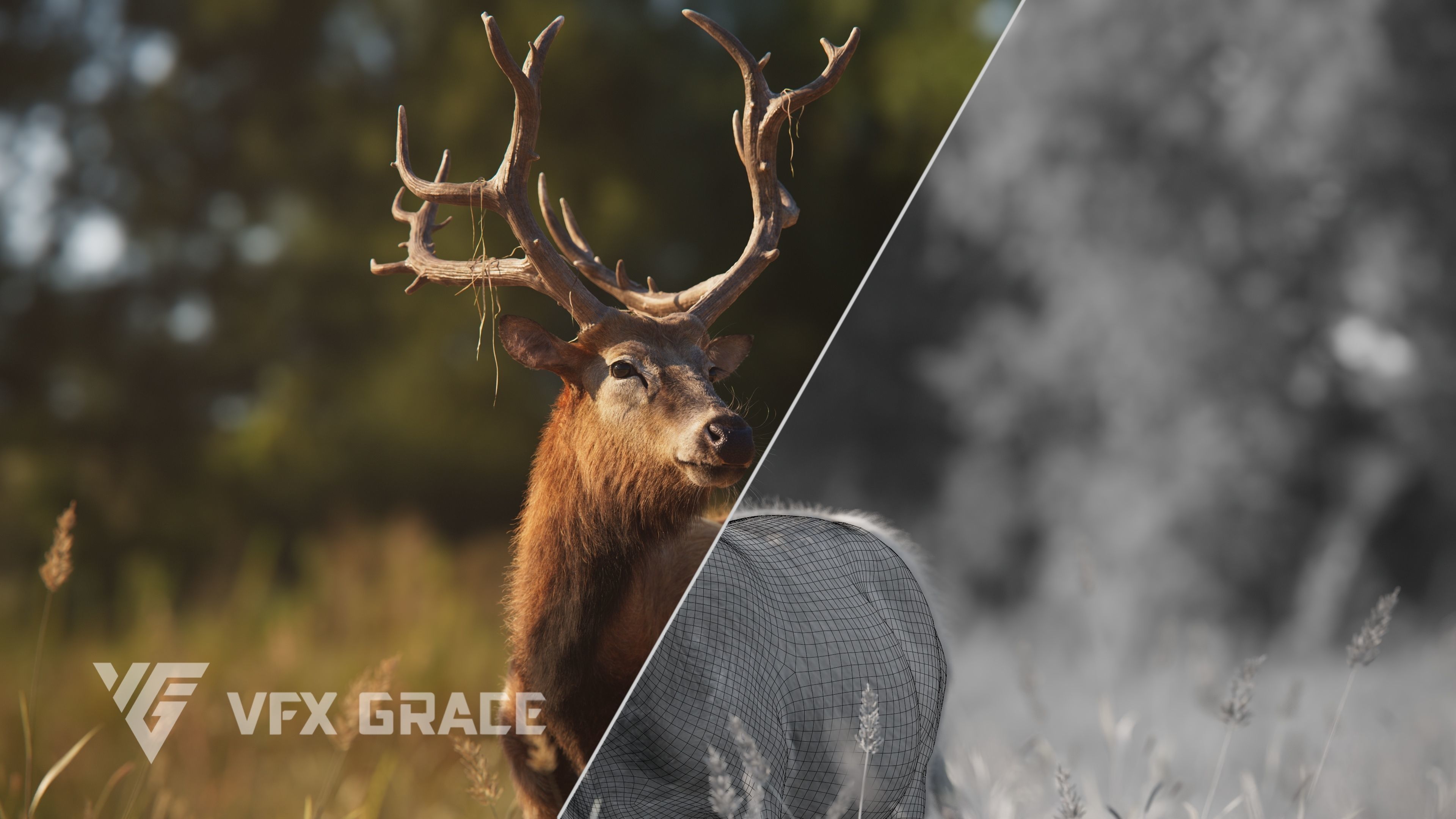 Male Deer with 5 Animations  VFX Grace 3D model_9