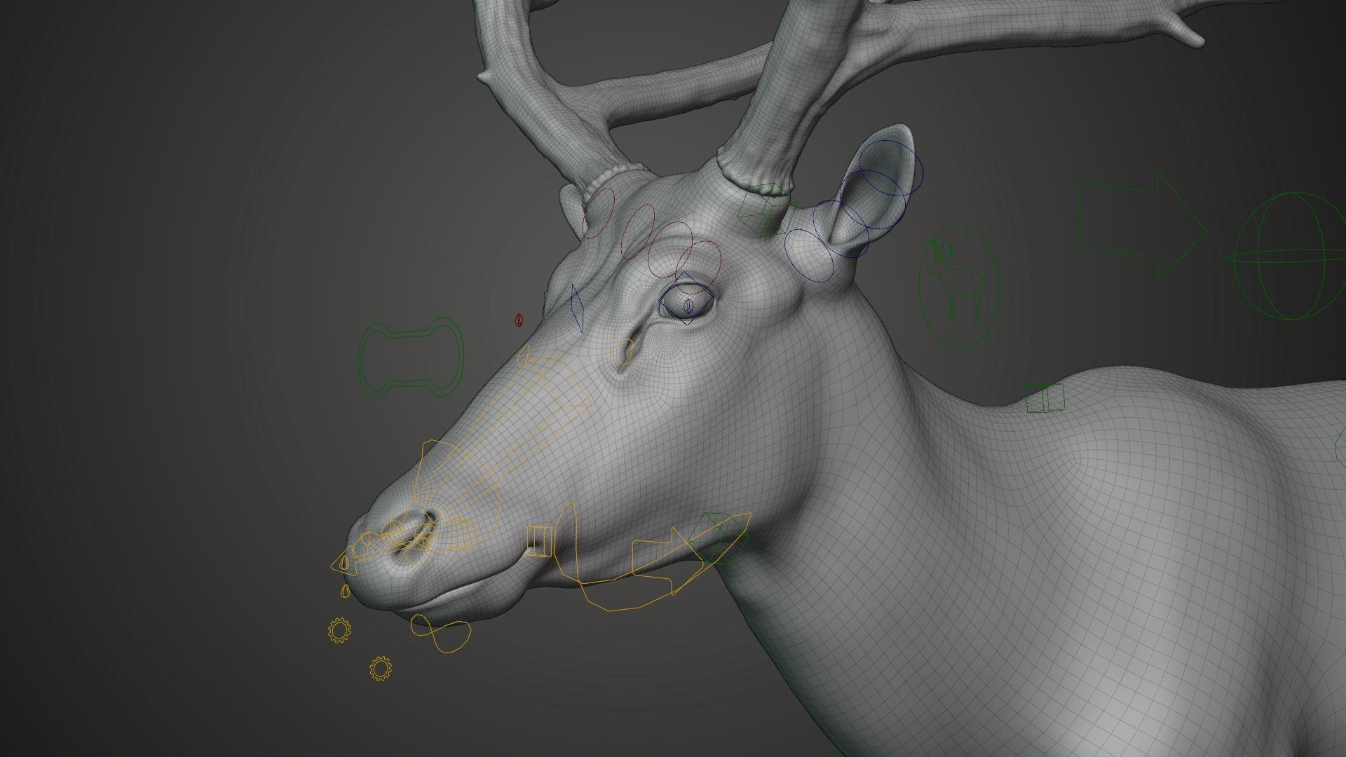 Male Deer with 5 Animations  VFX Grace 3D model_23