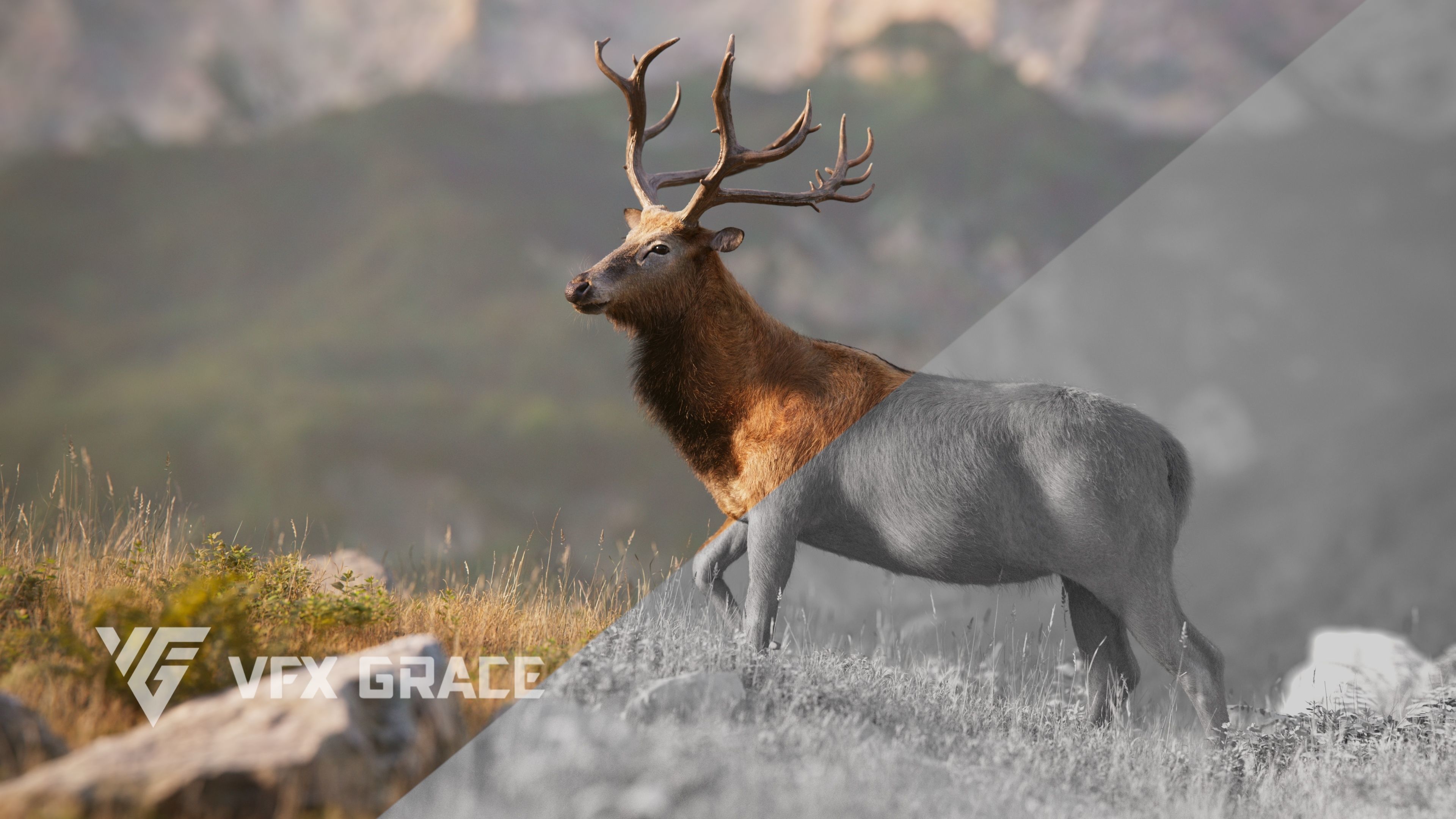 Male Deer with 5 Animations  VFX Grace 3D model_7