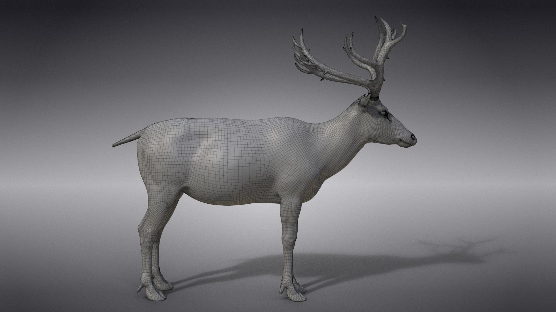Male Deer with 5 Animations  VFX Grace 3D model_35
